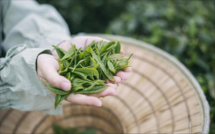 2023年十大高薪行业，职业选择的新风向