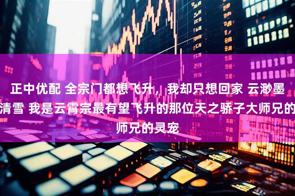 正中优配 全宗门都想飞升，我却只想回家 云渺墨渊苏清雪 我是云霄宗最有望飞升的那位天之骄子大师兄的灵宠
