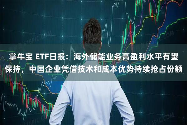 掌牛宝 ETF日报：海外储能业务高盈利水平有望保持，中国企业凭借技术和成本优势持续抢占份额