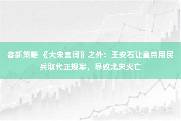 容新策略 《大宋宫词》之外：王安石让皇帝用民兵取代正规军，导致北宋灭亡