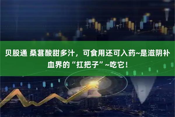 贝股通 桑葚酸甜多汁，可食用还可入药~是滋阴补血界的“扛把子”~吃它！