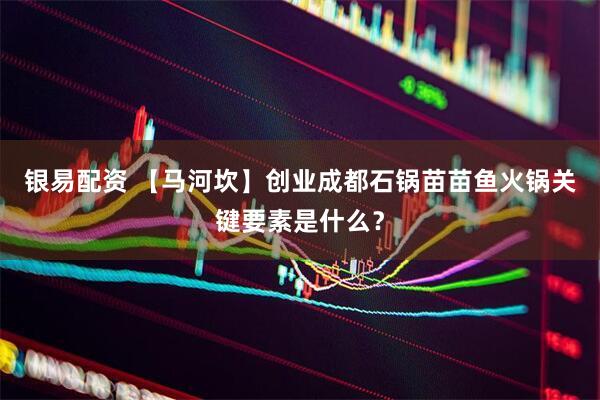银易配资 【马河坎】创业成都石锅苗苗鱼火锅关键要素是什么？