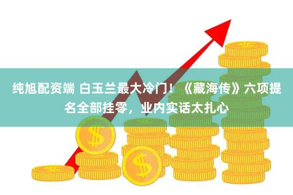 纯旭配资端 白玉兰最大冷门!《藏海传》六项提名全部挂零,业内实话太扎心