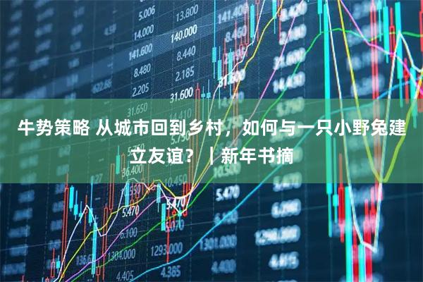 牛势策略 从城市回到乡村，如何与一只小野兔建立友谊？｜新年书摘