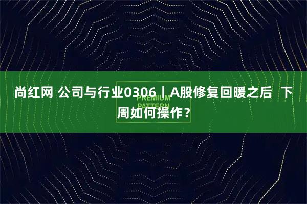 尚红网 公司与行业0306丨A股修复回暖之后  下周如何操作？
