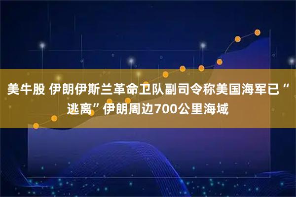 美牛股 伊朗伊斯兰革命卫队副司令称美国海军已“逃离”伊朗周边700公里海域