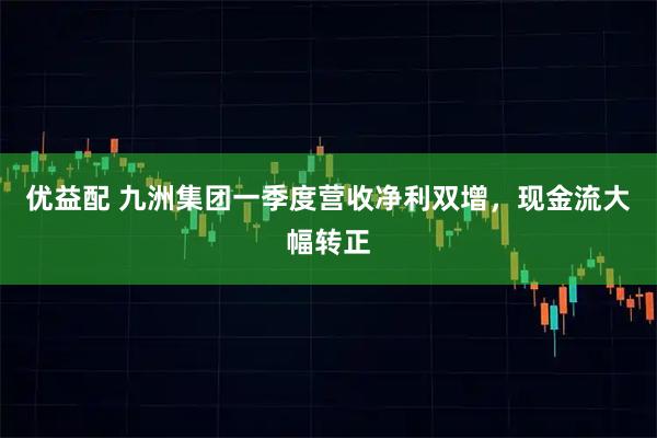 优益配 九洲集团一季度营收净利双增,现金流大幅转正