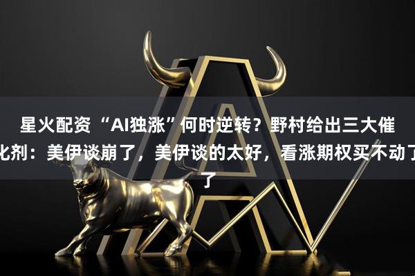 星火配资 “AI独涨”何时逆转？野村给出三大催化剂：美伊谈崩了，美伊谈的太好，看涨期权买不动了