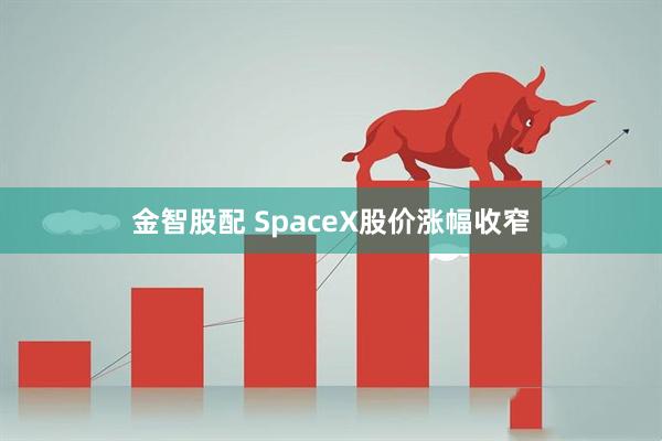 金智股配 SpaceX股价涨幅收窄
