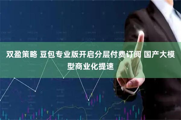 双盈策略 豆包专业版开启分层付费订阅 国产大模型商业化提速