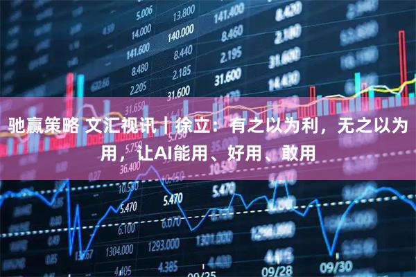 驰赢策略 文汇视讯｜徐立：有之以为利，无之以为用，让AI能用、好用、敢用
